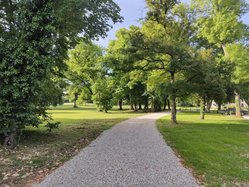 Les charpentes des communs du Château du Sollier - Charme Calme Confort Climatisation à 5mn de la sortie 7 Bourges A71 parking gratuit privé, Panette collection — 5
