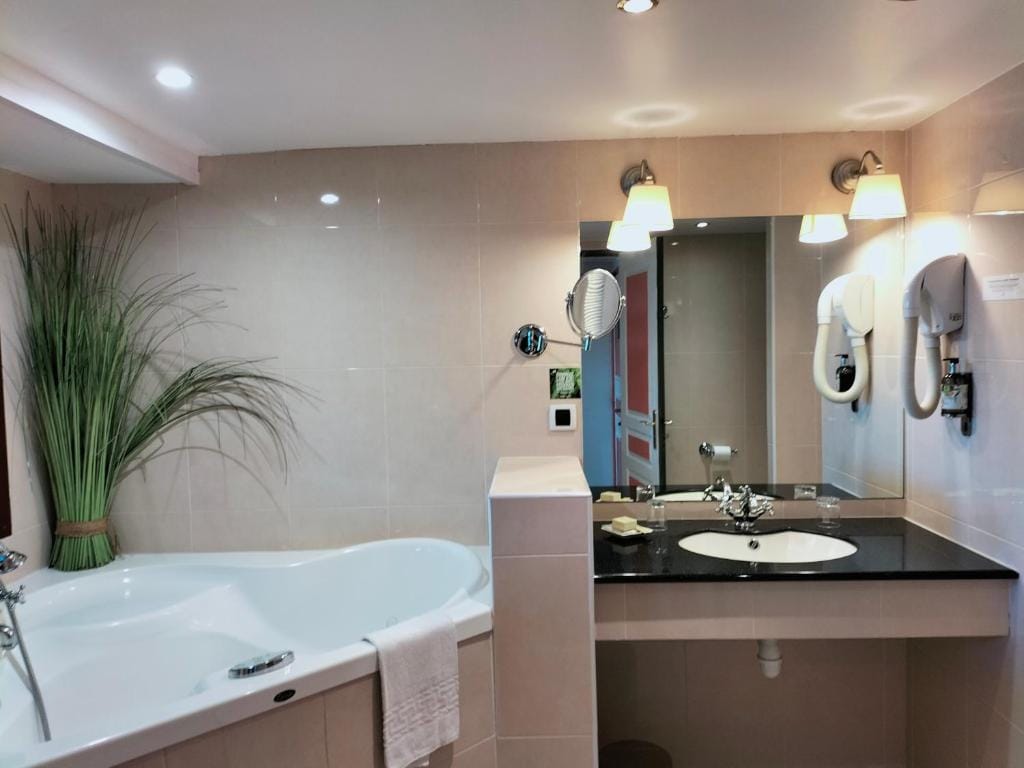 Logis HOTEL RESTAURANT La Régence — 5