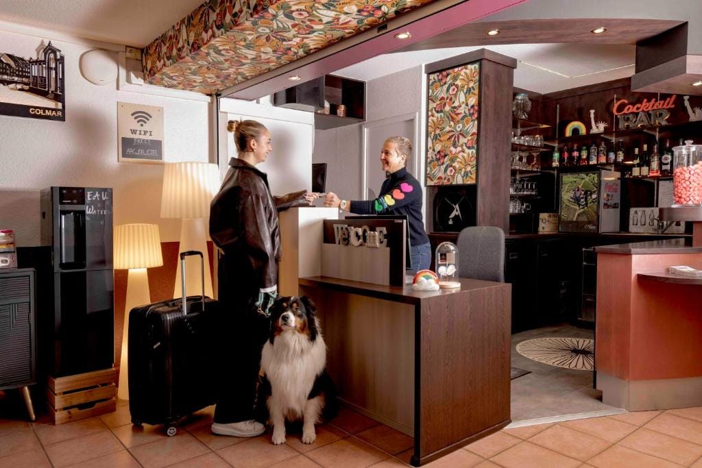 Hotel Arc-En-Ciel Colmar Contact Hotel — 4