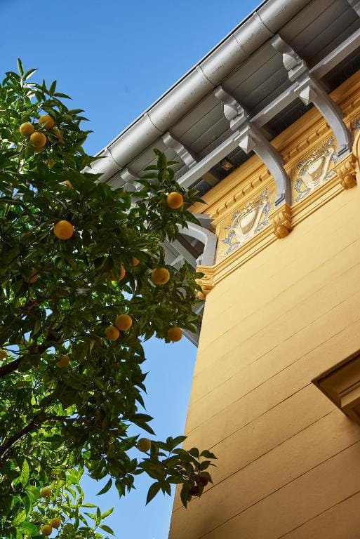 Maison des Barons — 3