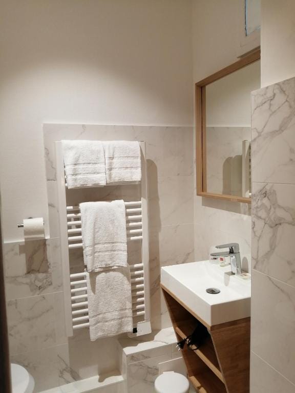 Hotel Du Cygne Tours — 2